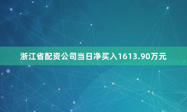 浙江省配资公司当日净买入1613.90万元