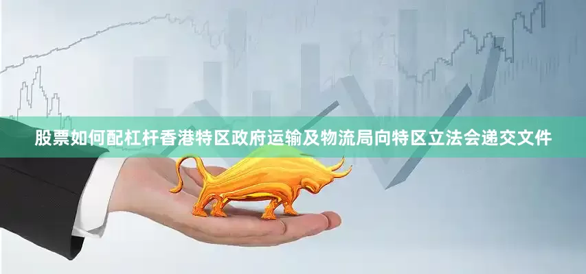 股票如何配杠杆香港特区政府运输及物流局向特区立法会递交文件
