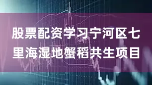 股票配资学习宁河区七里海湿地蟹稻共生项目